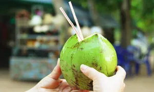 Uống nước dừa nóng để chuyển dạ nhanh? Uống nước dừa nóng để chuyển dạ nhanh?