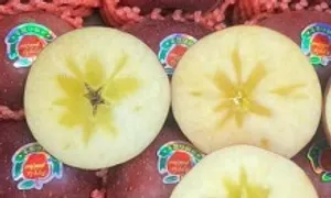 Táo mật Trung Quốc từ hàng cao cấp thành bình dân giá rẻ Táo mật Trung Quốc từ hàng cao cấp thành bình dân giá rẻ