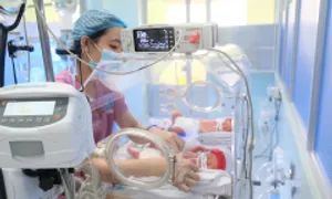 Can thiệp tim thai là sự kiện nổi bật TP HCM 2024