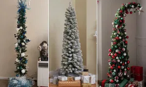 Cây thông Giáng sinh 'gầy' đắt hàng ở phương Tây