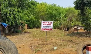 'Mang một tỷ đồng đi mua đất để bảo toàn tài sản' 'Mang một tỷ đồng đi mua đất để bảo toàn tài sản'