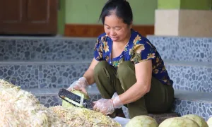 Nghề làm đặc sản nhút Thanh Chương