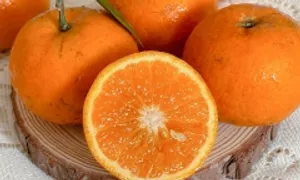 5 vitamin và khoáng chất cần cho phụ nữ sau tuổi 30 5 vitamin và khoáng chất cần cho phụ nữ sau tuổi 30